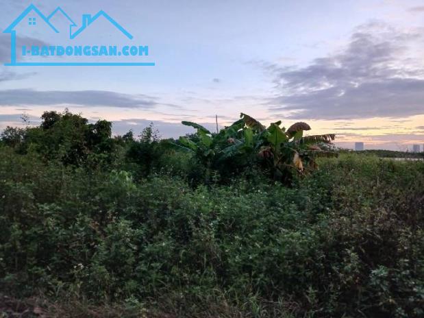 Bá.n đất Yên Mỹ – Thanh Trì, 290m2 – Mặt tiền 7.8m