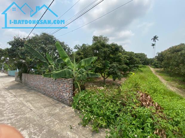 Bán đất đẹp xây nhà, kinh doanh tốt tại Thanh Hồng – Giá chỉ 13,2 tỷ - 2