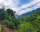 Chính chủ bán 720m2 đất làm homestay ở Pà Cò, Hang Kia giá 850tr