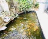 Bán biệt thự khu đô thị Dịch Vọng Cầu Giấy, 268m2, mặt tiền 15m, rất gần công viên, 72 tỷ