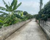 Bán đất Vườn xã Thanh Hồng, 236m x 10m – Trung tâm phát triển – 4.7 tỷ