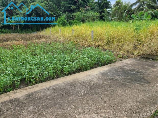 ĐẤT SIÊU ĐẸP - GIÁ TỐT - Bán GẤP Lô Đất Tiềm Năng Tại Long Khánh Xã Phước Hậu, Cần Giuộc - 2