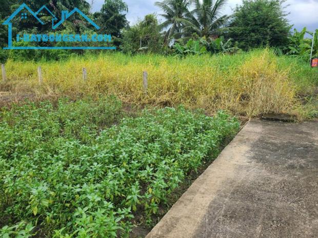 ĐẤT SIÊU ĐẸP - GIÁ TỐT - Bán GẤP Lô Đất Tiềm Năng Tại Long Khánh Xã Phước Hậu, Cần Giuộc - 3