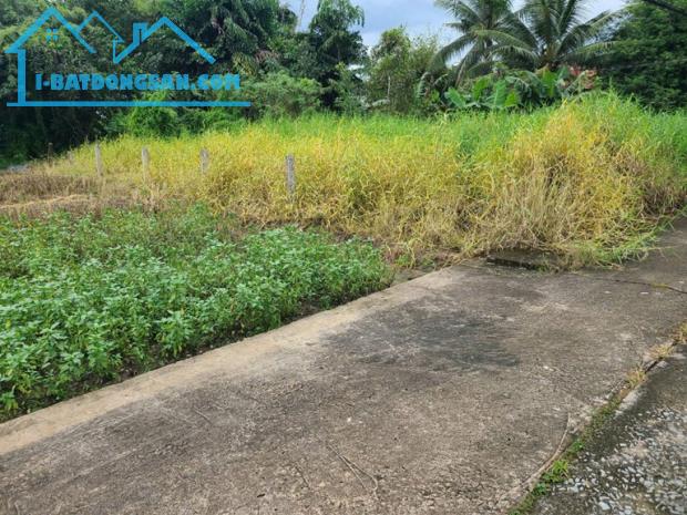 ĐẤT SIÊU ĐẸP - GIÁ TỐT - Bán GẤP Lô Đất Tiềm Năng Tại Long Khánh Xã Phước Hậu, Cần Giuộc - 4