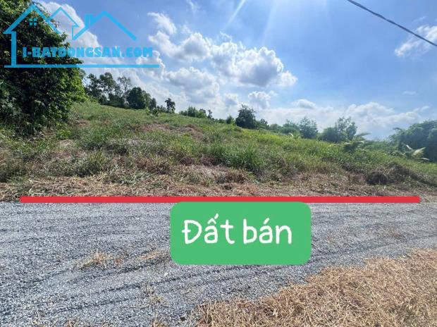 780tr/1463m2 VƯỜN/ sẵng SHR- MT đường 4m/ Oto tới đất