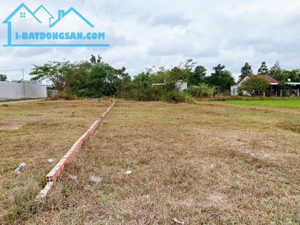 Bán lô đất lớn 2 mặt tiền 10x65 ( 650m2),có 100m2 thổ còn lại đất lúa ngay xã Đức Hòa Đông