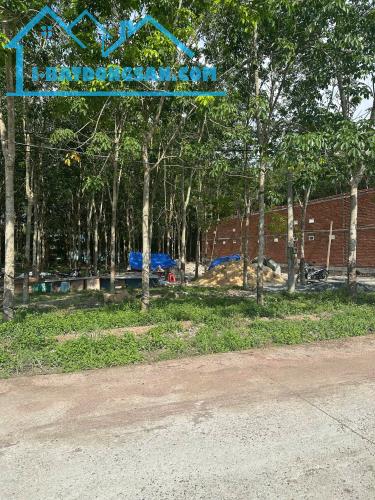 BÁn Gấp Đất Gần Ngay KCN  241m2 600tr Các Nhà Đầu Tư Nhanh Tay Nào! - 1