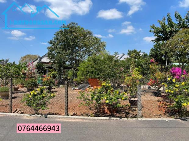 Cần tiền bán gấp vườn trái cây, Bình Phước, 2500m2, 400m2 thổ cư