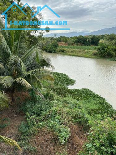 💰 290 TRIỆU – BÁN GẤP 1.776M² ĐẤT NÔNG NGHIỆP – MẶT SÔNG, ĐƯỜNG Ô TÔ ĐẾN ĐẤT 💰

📍 Vị