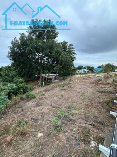💰 290 TRIỆU – BÁN GẤP 1.776M² ĐẤT NÔNG NGHIỆP – MẶT SÔNG, ĐƯỜNG Ô TÔ ĐẾN ĐẤT 💰

📍 Vị - 4