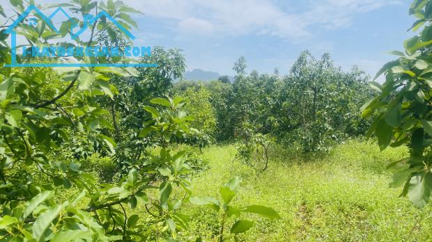 💫💥💥💥 SIÊU PHẨM ĐẤT VƯỜN NGHỈ DƯỠNG – BÁM TỈNH LỘ 438 – LẠC THỦY, HÒA BÌNH 💥💥💥  View - 3