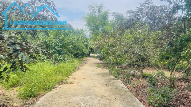 💫💥💥💥 SIÊU PHẨM ĐẤT VƯỜN NGHỈ DƯỠNG – BÁM TỈNH LỘ 438 – LẠC THỦY, HÒA BÌNH 💥💥💥  View - 4