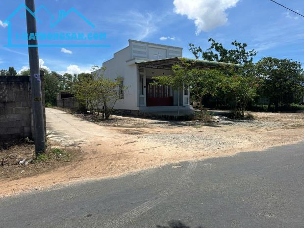 Bán nhà 2 mặt tiền Nguyễn Thông, thị xã LaGi giá rẻ nhất 230 triệu/m ngang - 1