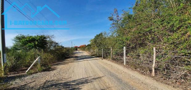 bán 10ha view biển quy hoạch đất ở và tmdv Ninh Vân Ninh Hòa 0985451850 - 2