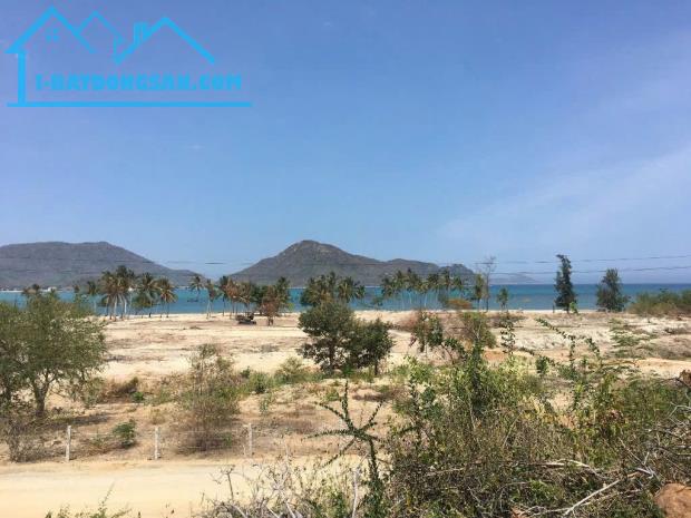 bán 10ha view biển quy hoạch đất ở và tmdv Ninh Vân Ninh Hòa 0985451850 - 3