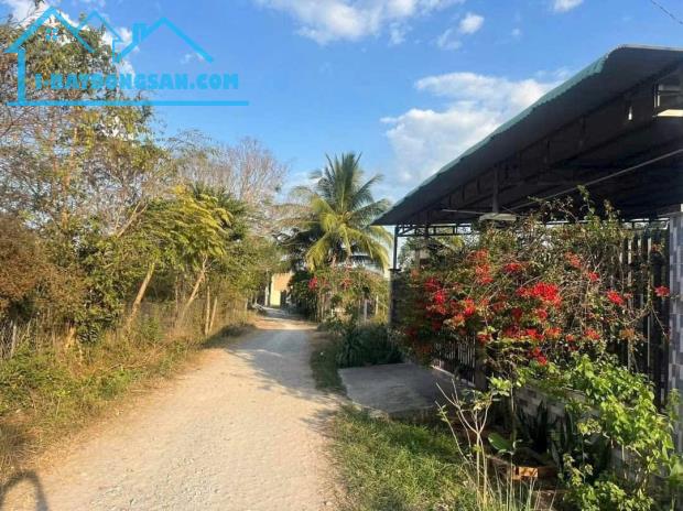 ĐẤT TRẢNG BÀNG KDC ĐÔNG ĐÚC 225m2 MÀ CHỈ CÓ 550 TRIỆU - 2