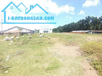 CHÍNH CHỦ BÁN ĐẤT KHU NHÀ XƯỞNG 17.800m² – VỊ TRÍ ĐẸP – HẠ TẦNG HOÀN THIỆN. - 4