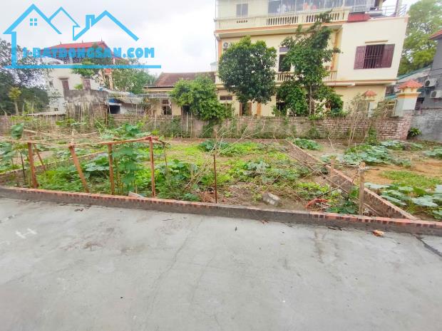 Bán lô đất tiềm năng 80m phường Trạm Lộ gần Khu Công Nghiệp TT1. Giá hơn 20tr/m - 1