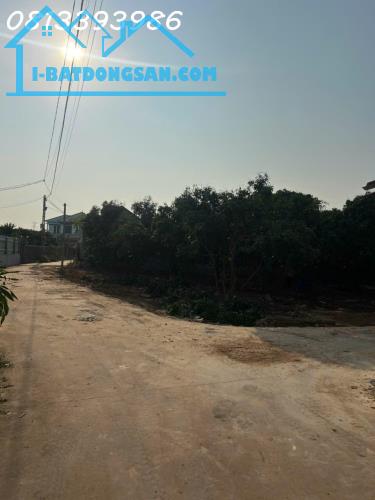 LÔ GÓC 176M² NGAY TRỤC ĐƯỜNG LIÊN XÃ – GIÁ SIÊU RẺ, SỔ SẴN SANG TÊN NGAY - 3