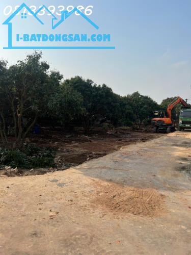 LÔ GÓC 176M² NGAY TRỤC ĐƯỜNG LIÊN XÃ – GIÁ SIÊU RẺ, SỔ SẴN SANG TÊN NGAY - 4