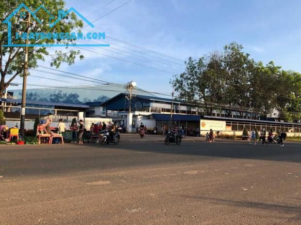 Bán gấp lô đất 2mt, thổ cư, 319.6m2 cách chợ 300m, giá 200 triệu ,thị xã sầm uất - 2