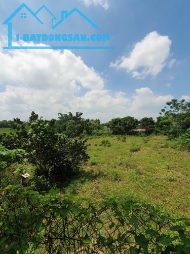 Ngân hàng bán đất Quang Phong, Thị xã Thái Hòa, Nghệ An. - 2