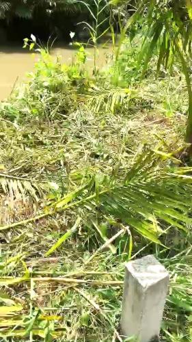 ĐẤT ĐẸP - ĐẦU TƯ SINH LỜI - Chính Chủ Cần Bán Nhanh Đất Tại Xã Phú Tâm, Châu Thành, Sóc - 2