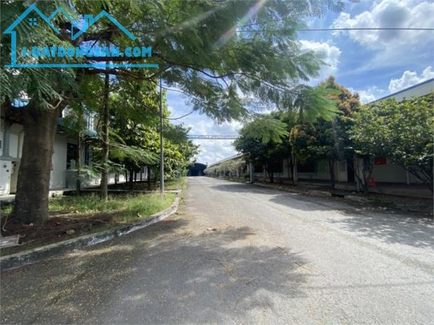 chuyển nhượng nhà xưởng đang SX may mặc, kết cấu khung thép, giấy phép đầy đủ - 1