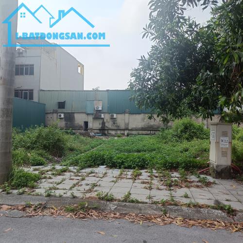 55 TRIỆU/M2 - DT 115M2 - ĐƯỜNG 24M KĐT KHAI SƠN – TRƯỜNG DỆT MAY THỜI TRANG HÀ NỘI