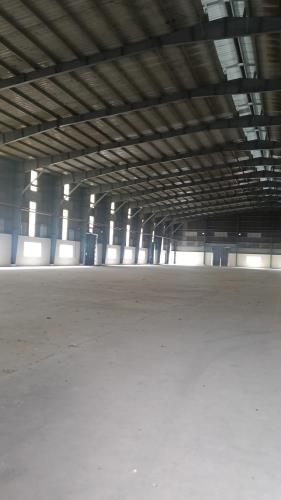 💥CẦN CHO THUÊ KHO XƯỞNG  NGOÀI KCN, BẾN LỨC LONG AN.CÓ SẴN TRẠM CÂN TẢI TRỌNG.
