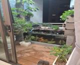 cần cho thuê căn hộ chung cư đường trần hữu dực