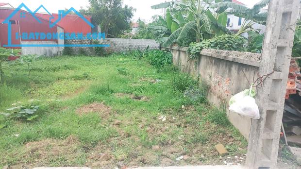 Bán đất Đại Đồng - Kiến Thụy - Hải Phòng - 1