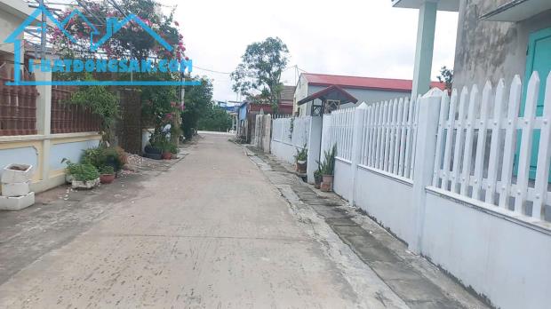 Bán đất Đại Đồng - Kiến Thụy - Hải Phòng - 2