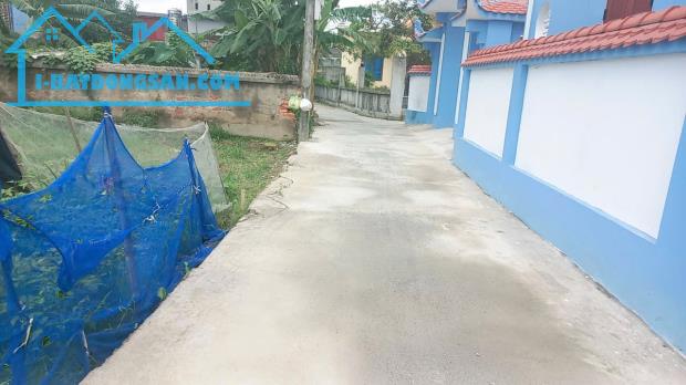 Bán đất Đại Đồng - Kiến Thụy - Hải Phòng - 3