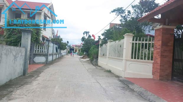 Bán đất Đại Đồng - Kiến Thụy - Hải Phòng - 5