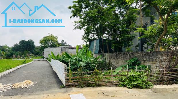 CHỦ CẦN TIỀN BÁN NHANH HƠN 3OOM CHỤC CHÍNH THỦY XUÂN TIÊN- CHƯƠNG MỸ GIÁ HẤP DẪN - 1
