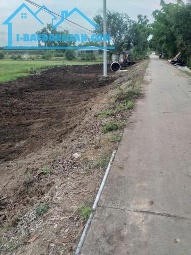 1hecta đường Tuyến Bốn,Phước Lập,Tân Phước,Tiền Giang - 1