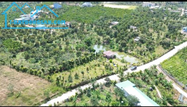 Bán đất nền sẵn sầu riêng đang thu tại Quốc Lộ 55, 690 triệu, 310m2 tại Lộc Nam, Bảo Lâm, - 2