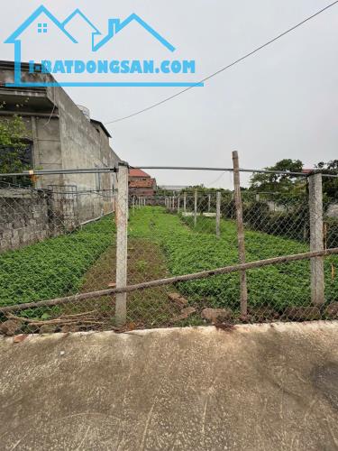 ĐẤT ĐẸP - GIÁ TỐT Chính Chủ Cần Bán Lô Đất Xã An Vĩ, Khoái Châu, Hưng Yên - 4