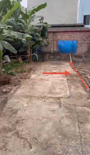 Đất đẹp thôn Tráng Việt, xã Tráng Việt, Mê Linh. Đón đầu dự án cầu Thượng Cát - 2