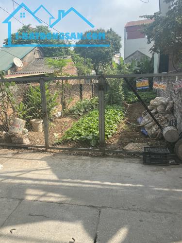 Đất nền Tráng Việt Mê Linh Hà Nội