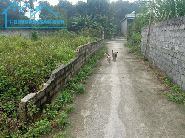 Bán 1081m2 lô góc 2 mặt tiền tại chợ quán trắng , liên sơn, lương sơn - 4