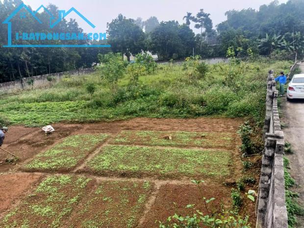 Bán 1081m2 lô góc 2 mặt tiền tại chợ quán trắng , liên sơn, lương sơn - 5