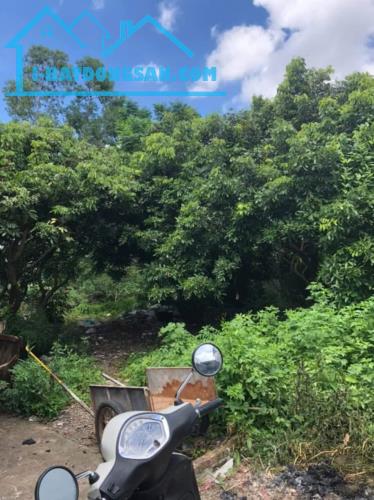 BÁN GẤP ĐÁT ĐẸP XÂY NHÀ NGAY ,GIÁ TỐT - VĨNH HƯNG HOÀNG MAI -60 M2-- MT 5,1 M - 1,35 TỶ - 1
