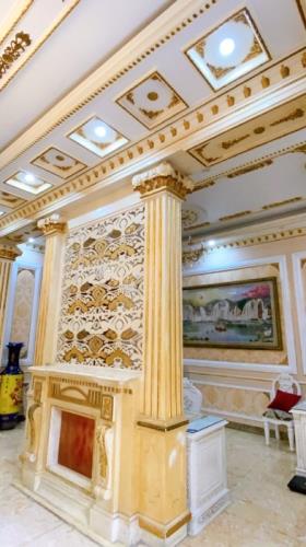 BT23 - BIỆT THỰ 6 TẦNG MẶT TIỀN GẦN NGÃ TƯ BỐN XÃ – KIẾN TRÚC CHÂU ÂU ĐẲNG CẤP – SÁT VÁCH - 4