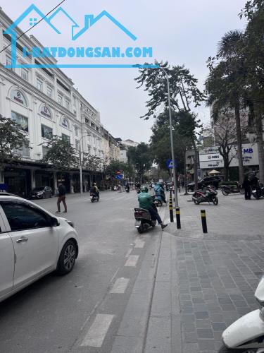 Bán nhà mặt phố Cát Linh, Đống Đa 128m, 5 tầng, mt 10m, giá 55 tỷ, kinh doanh, dòng tiền - 1