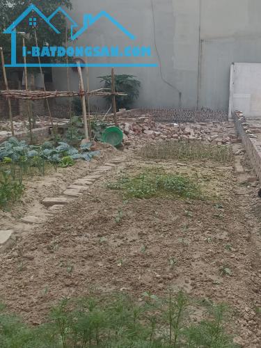 Nhỉnh 3 Tỷ Sở Hữu 82m Đất Đại Mạch Đông Anh Sát Vách Cầu Thượng Cát - 3