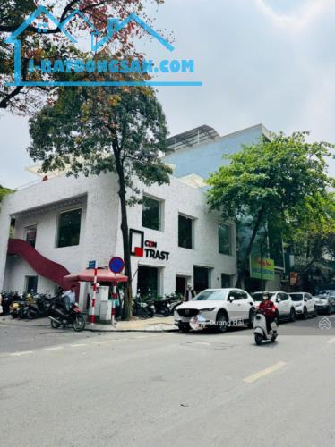 Bán nhà Mặt Phố Cát Linh - Đống Đa - S 120m MT 10m - Vỉa Hè Kinh doanh - Xây Tòa nhà đẹp - 3