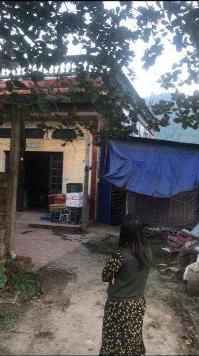 BÁN NHANH ĐẤT MẶT ĐƯỜNG TỈNH LỘ 35, SÓC SƠN - 1