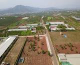 250M2 ĐẤT THỔ CƯ SỔ HỒNG RIÊNG GẦN SÂN BAY LIÊN KHƯƠNG GIÁ CHỈ 1 TỶ 050 TRIỆU
